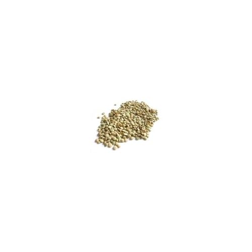 Bulk Beans Beans Green Lentil Organic 25-Pound