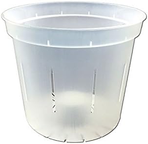 3" Slotted Clear Orchid Pots - 6 Pack (1, Crystal Clear)