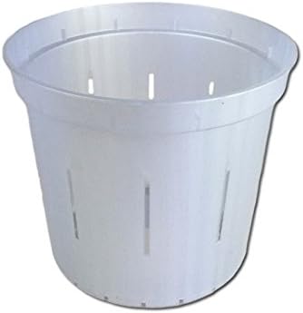 4" Slotted Clear Orchid Pots - 3 Pack (White Pearl)