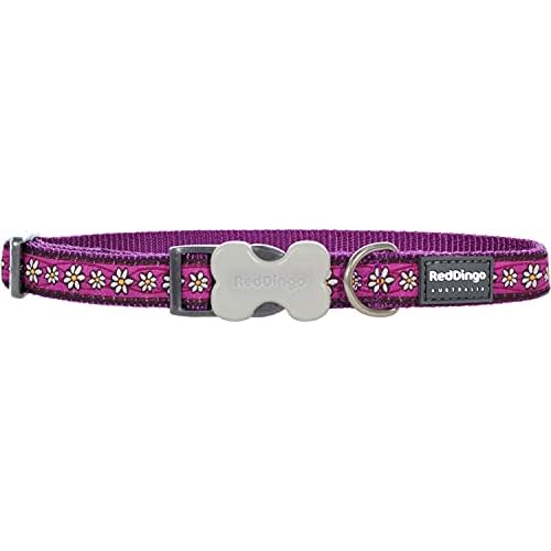 Red Dingo Daisy Chain Dog Collar, Purple, 15mm