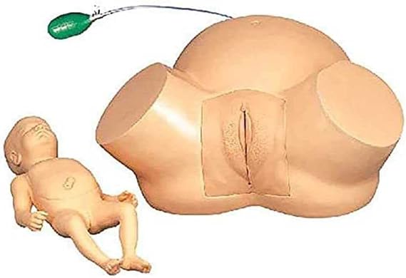 Anatomy Childbirth Simulator Manikin, Advanced Midwifery Training Model for Teaching Learning Display Tool