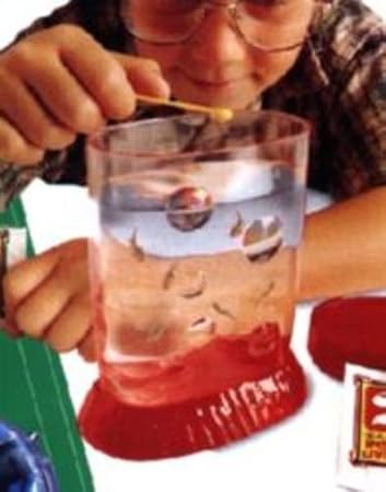 Sea Monkeys - Grow Live