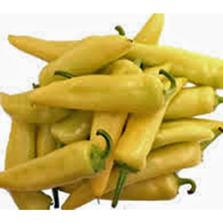 Pepper, Hungarian Yellow Wax, Heirloom, 100 Seeds, Very Sweet N Tasty
