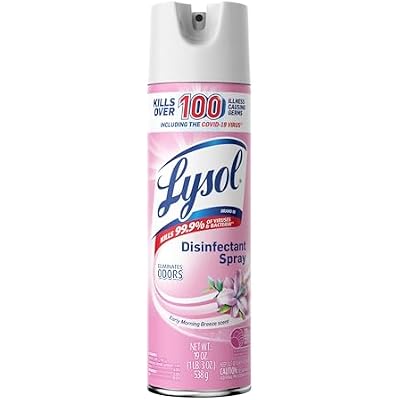 Lysol Disinfectant Spray, Household Cleaning Supplies, Disinfecting Multi-Purpose Room Spray, Antibacterial Sanitizer, Deodorizer, Kills Hantavirus, Early Morning Breeze, 19 Fl Oz