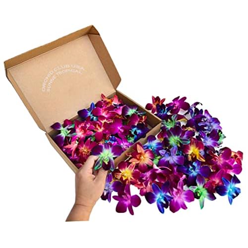 Miami Fresh Orchid Loose Bloom PERISHABLE flowers OrchidClub USA Sunne Tropical DIY lei, food & drink decoration 100 RAINBOW