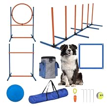 Sedeke 4 Sets Pets Agility Training Equipment - Adjustable Dog Hoop, Jump, Weave & Blind Poles, Pause Box for Outdoor Obstacle Course