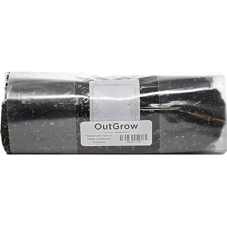 Pasteurized Manure Based Mushroom Substrate in Mushroom Grow Bag