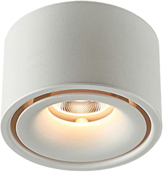 Round Surface Mounted LED Downlights Baffle Trim 5W 7W 12W Mounted Ceiling Lamps Spot Light 90-260V LED Downlight Daylight Retrofit Downlight