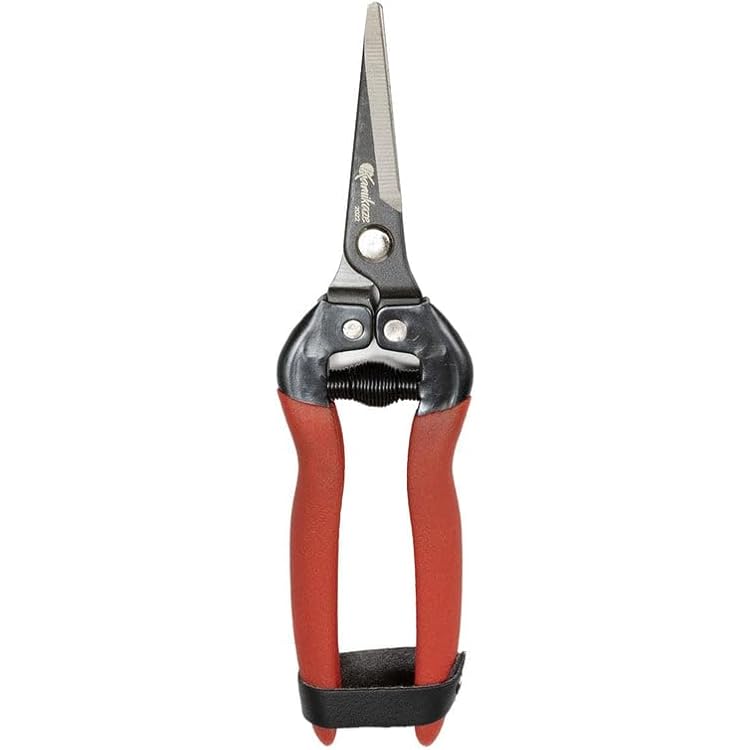 Gemplers Needlenose Fruit Pruner