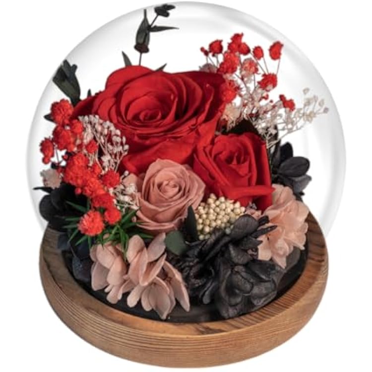 EIGHTOWN Red Roses Preserved Flower in Glass Dome - Real Rose Gift for Her - Forever Gift for Valentines Day, Mothers Day, Birthday, Anniversary, Wedding, Thanksgiving