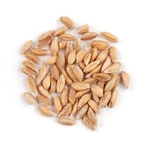 Spelt, 10 Pound Box
