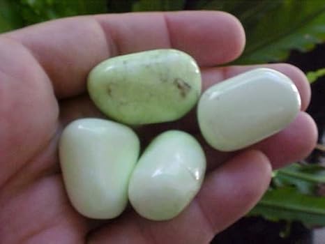 B1411 Gemqz Limestone Tumbled Polished 4 Pcs !!!