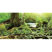 24X12IN Natural Green Forest Tree Background Reptile Habitat Terrarium Background, Tropical Forest Decor Aquarium Background, with 10 EVA Double-Sided