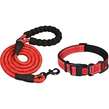 Taglory 16-24" Length, 1" Wide Dog Collar and Leash Set, 1/2" x 6 FT Highly Reflective Threads Dog Leash for Medium and Large Dogs,Red