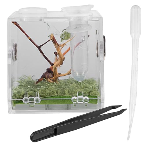 Alipis Reptile Breeding Box with Dropper and Forceps 2.04In Transparent Jumping Spider Terrarium Enclosure for Small Crawling Insects Portable Pet Habitat Case