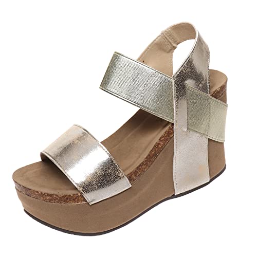 Pierre Dumas Womens Hester-1 Wedge Sandals