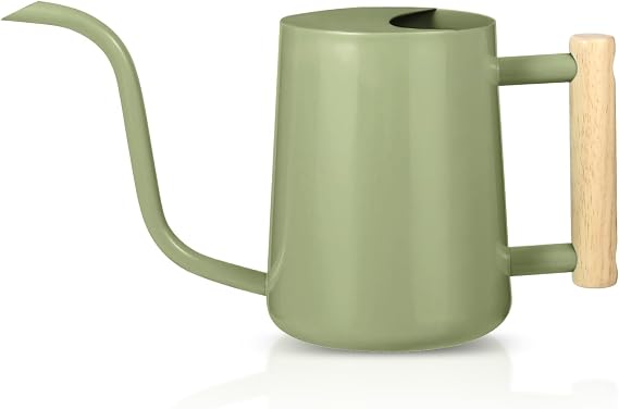 Watering Can Indoor Plants, 35oz Small Watering Can Stainless Steel Metal Watering Cans Modern Decorative Watering Pot with Long Spout for Indoor House Plant Bonsai Outdoor Garden Flowers -Sage