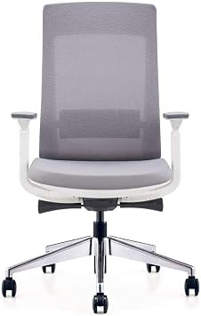 Ergohuman Elevate White with Grey Mesh