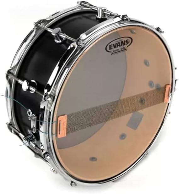 Evans Drum Head - Clear 300 Snare Side Drumhead, 14 Inch