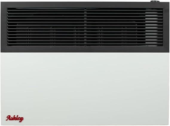 Ashley Hearth DVAG17N Natural Gas Direct-Vent Wall Heater