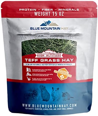 Blue Mountain Hay Teff Grass Hay for Small Pets, High Fiber Feed, 15oz