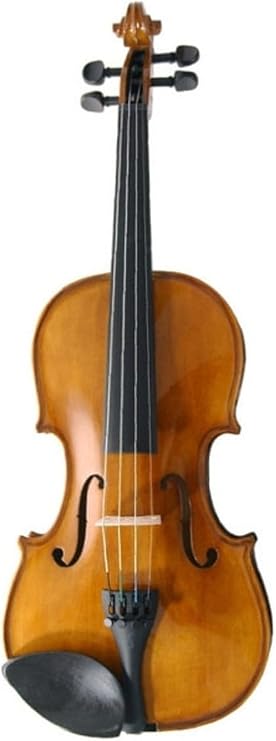 Stentor 1500 Professional Violin 4/4 Full Size - Complete Set with Case, Bow and Rosin