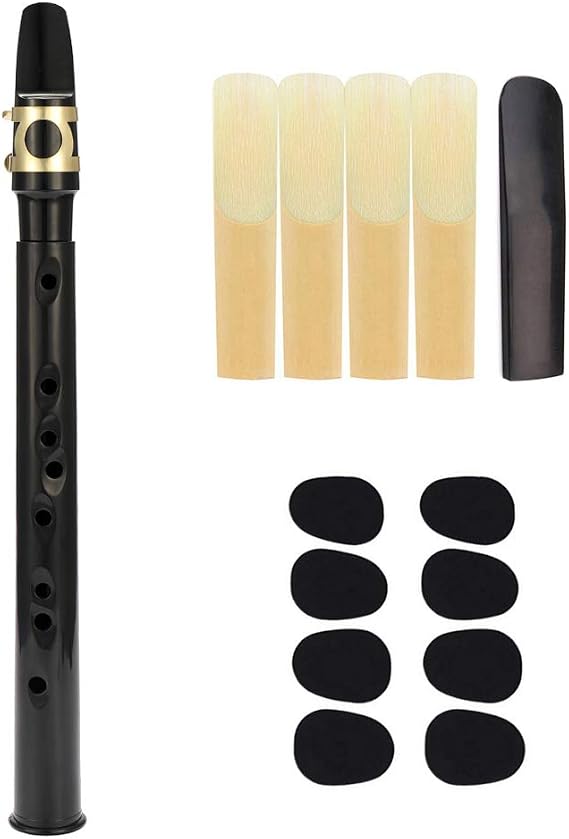 Pocket Sax Mini Portable Saxophone Little Saxophone With Carrying Bag Woodwind Instrument