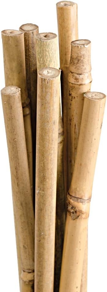 Natural First-Cut Bamboo Stakes, Pack of 10 (Approx. 3/8 Inch x 4 Feet)