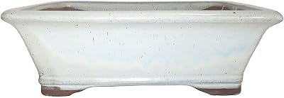 Brussels Bonsai 8 Rectangle Glazed Ceramic Bonsai Pot - Medium, New Cream, Great for Outdoor and Indoor Bonsai Trees
