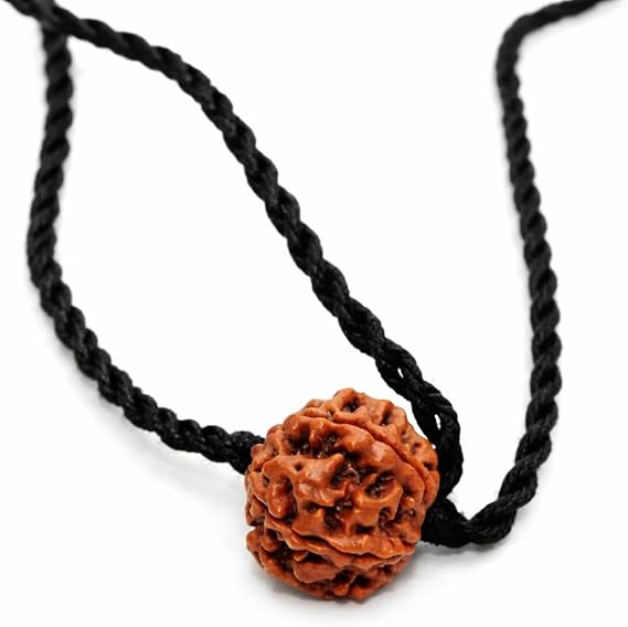 Certified 7 Mukhi Rudraksha mala Shiva bead, Laxmi venus yoga jewelry, big Rudraksh choker, Protection jewellery, Hindu necklace unisex