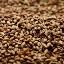 Briess Caramel 40L Malt 1 lb