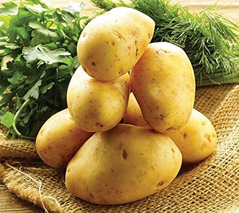 Simply SeedTM - 3 LB - German Butterball Potato Seed - Non GMO - Naturally Grown - Order Now For Planting - Real Potatoes