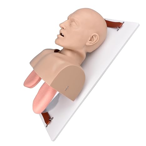 Intubation Manikin Kit, Airway Management Trainer for NPA/OPA