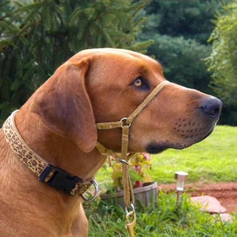 Comfort Trainer Head Halter, Tan Size 3