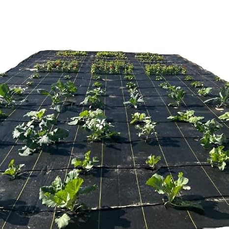 Lazy Garden Kit, Weed Supressing Ground Cover 15' X 30'