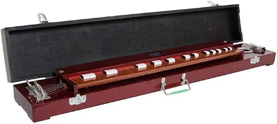 Bulbul Tarang (Indian Banjo)
