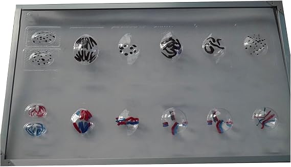 Mitogenesis Model of Animal and Plant Cells Animal Cell and Plant Cell Mitosis Set Model Anatomy Model Mitosis Cell Model Biological Animal Mitosis and Meiosis Set Model