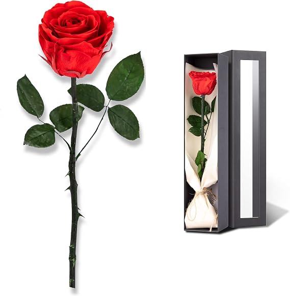 Flowers for Delivery Prime, Preserved Roses Flower Gifts for Women, Real Roses Single Rose Presents for Her, Mom Birthday Gifts from Daughter, Valentines Flowers Red Roses