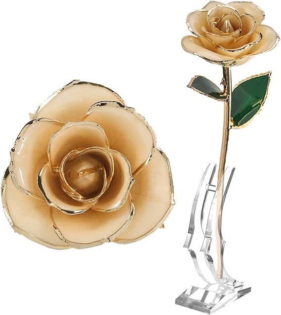 Gold Dipped Rose, 24K Long Stem Gold Plated Rose with Stand, Eternity Rose Flower in Gift Box, Romantic Gift for Anniversary Valentines Day Mothers Day