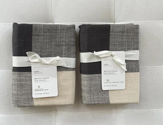 Pottery Barn Bryce Buffalo Check Sham ~Euro~Set of Two~Charcoal~