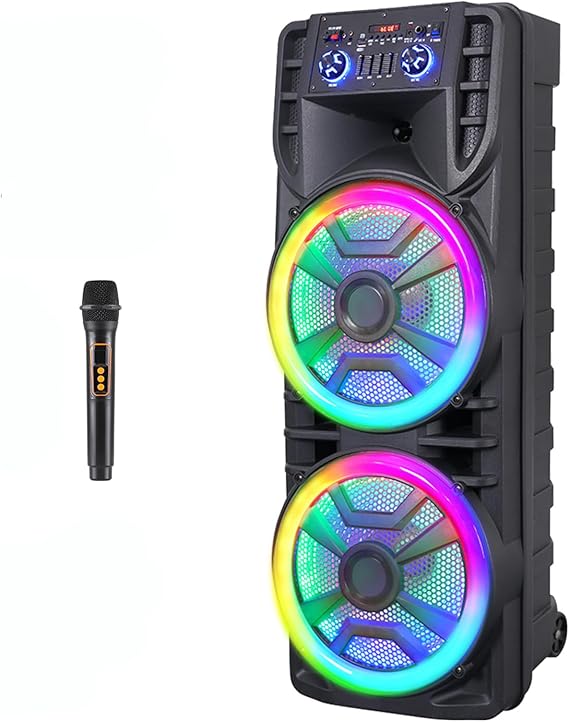 Dual 12 Wireless Bluetooth Party Speaker with Microphone