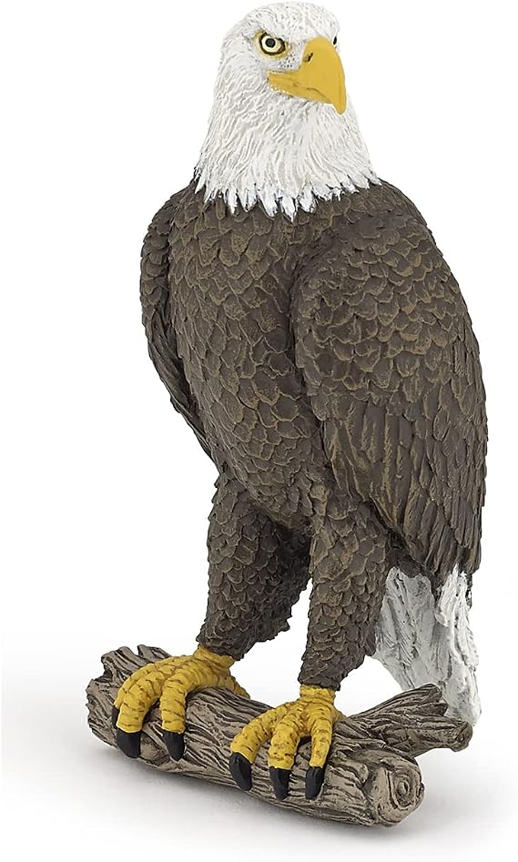 Papo - Realistic Bald Eagle Figure - Ages 3+ Wild Life Collection - Educational Play Birds Of Prey - Gift Idea Toy for Girls and Boys