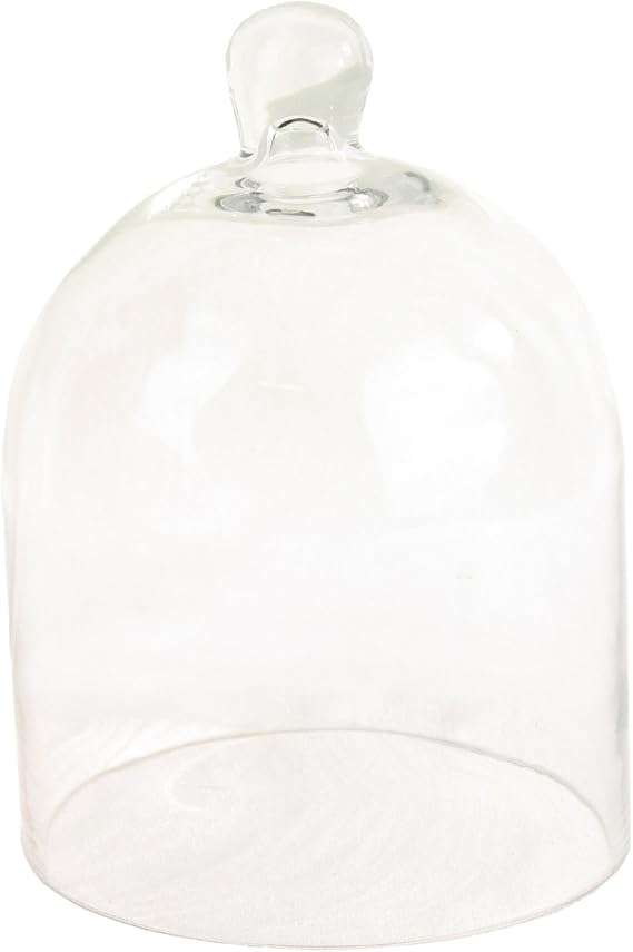 HomArt Glass Dome, Small