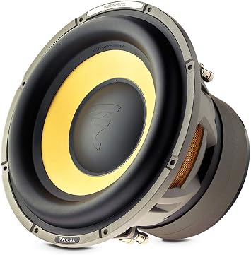 Focal E25KX 10 Subwoofer
