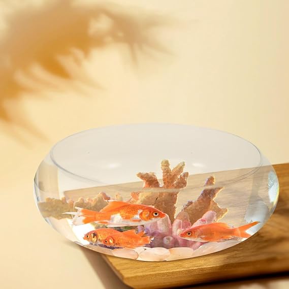 DOITOOL Clear Glass Fish Bowl Small Fish Tank Desktop Aquarium Tank Hydroponic Plant Pot and Vase for Flowers Home Office Garden Wedding