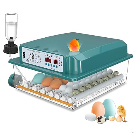 CoInceptus Fully Automatic Incubator Chickens 24-36 Eggs with Automatic Egg Turning and Automatic Water Addition Incubator Chickens with Four Automatic Incubation Modes