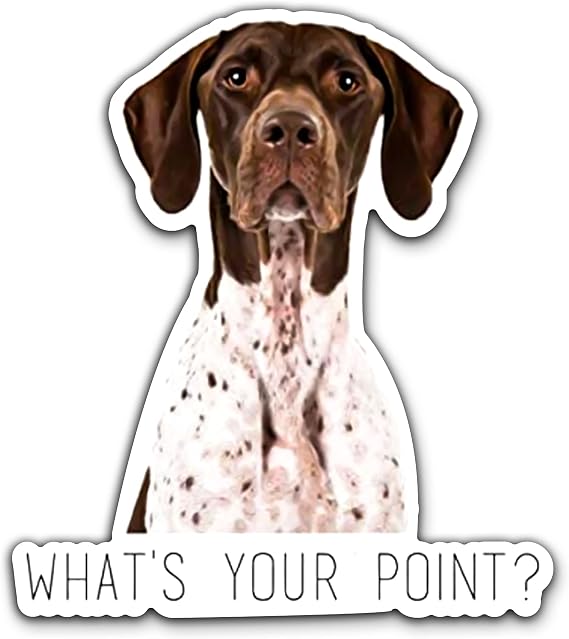 WSQ German Shorthaired Pointer What's Your Point Vinyl Decal Sticker Premium Quality Multiple Colors For Car Bumper Truck Van SUV Window Wall Boat Cup Tumblers Laptop or Any Smooth Surface Size 5 Inches