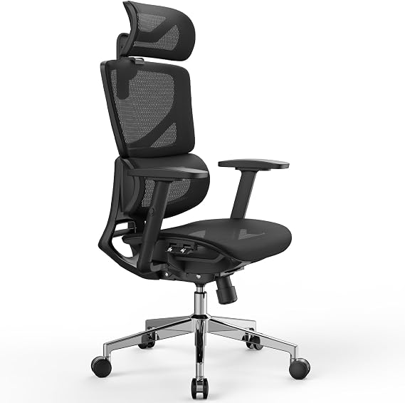 OdinLake L1 Big & Tall Ergonomic Mesh Office Chair, Lumbar Support, Black