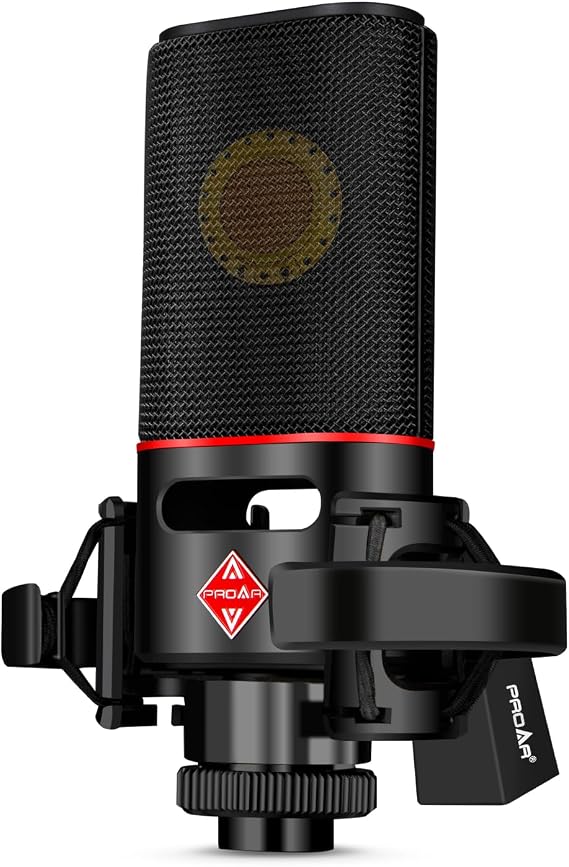 XLR Condenser Microphone with 25mm Diaphragm for Vocals and Recording