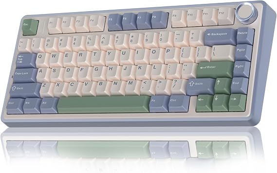 Aula F75 Mekanik RGB TKL Reaper Switch Kablosuz Makrolu Hot Swap Klavye Pastel